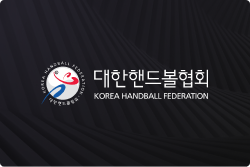 대한핸드볼협회